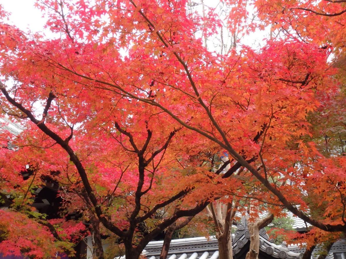 Kyo No Yado Nishioji Hotel เกียวโต ภายนอก รูปภาพ