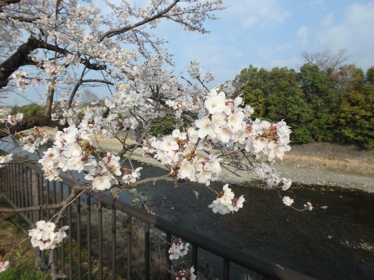 Kyo No Yado Nishioji Hotel เกียวโต ภายนอก รูปภาพ
